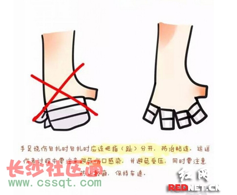 CҪճB